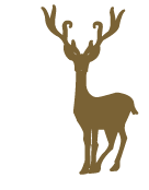 Christmas Reindeer